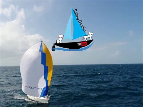 doodle sailing|sailing doodles most current video.